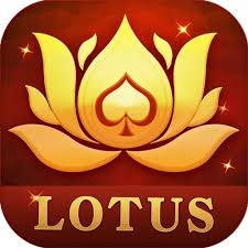 teen patti cricket battle game download